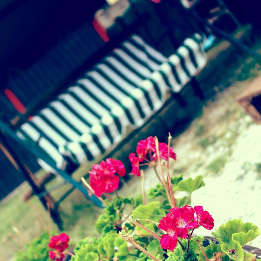 B&B Red House Garlate Extérieur photo